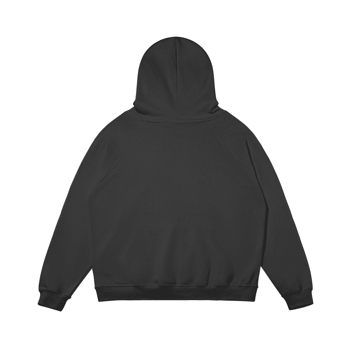 Fisheye Classic Hoodie